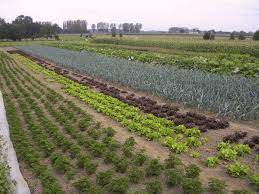 biologische boerderijen